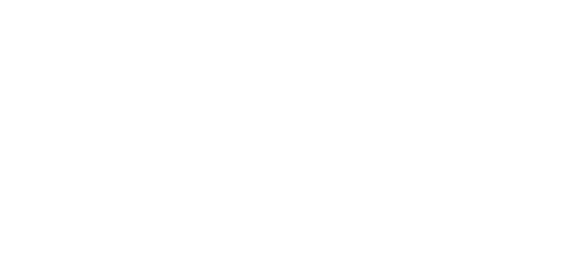 Simracingstore.nl Rentasim.nl Partners